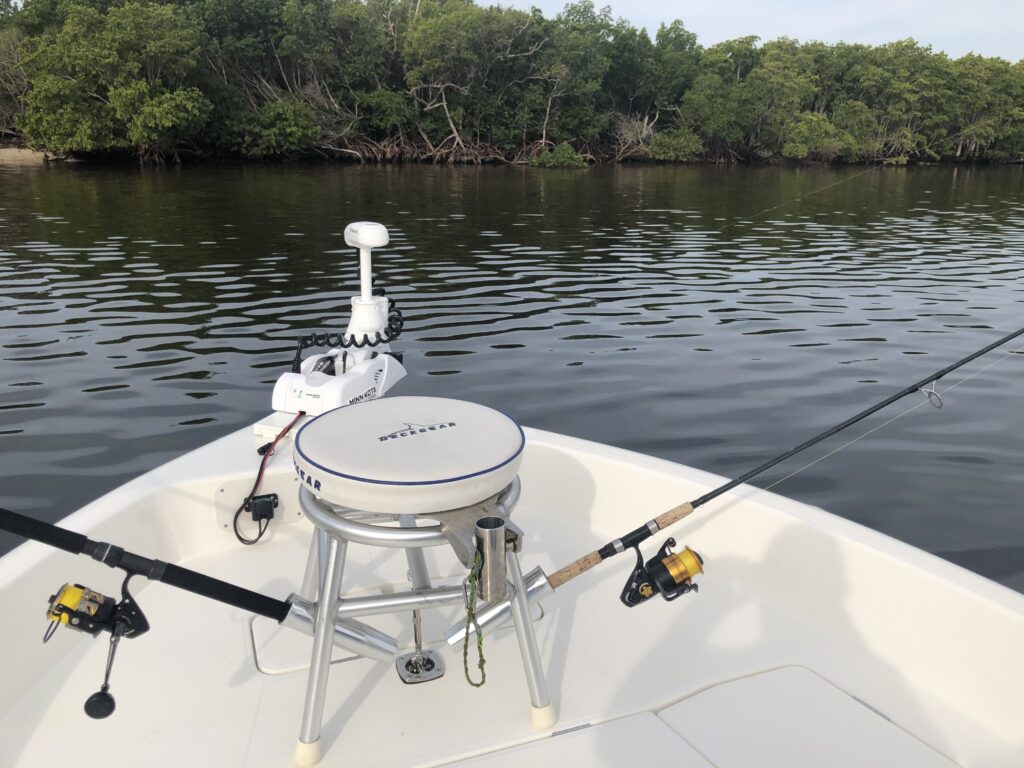 Inshore fishing with cutbait for snook