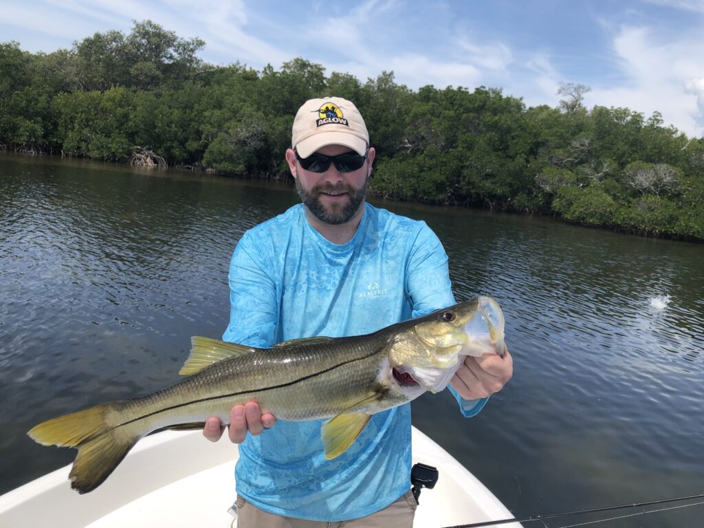 catching inshore snook near punta gorda