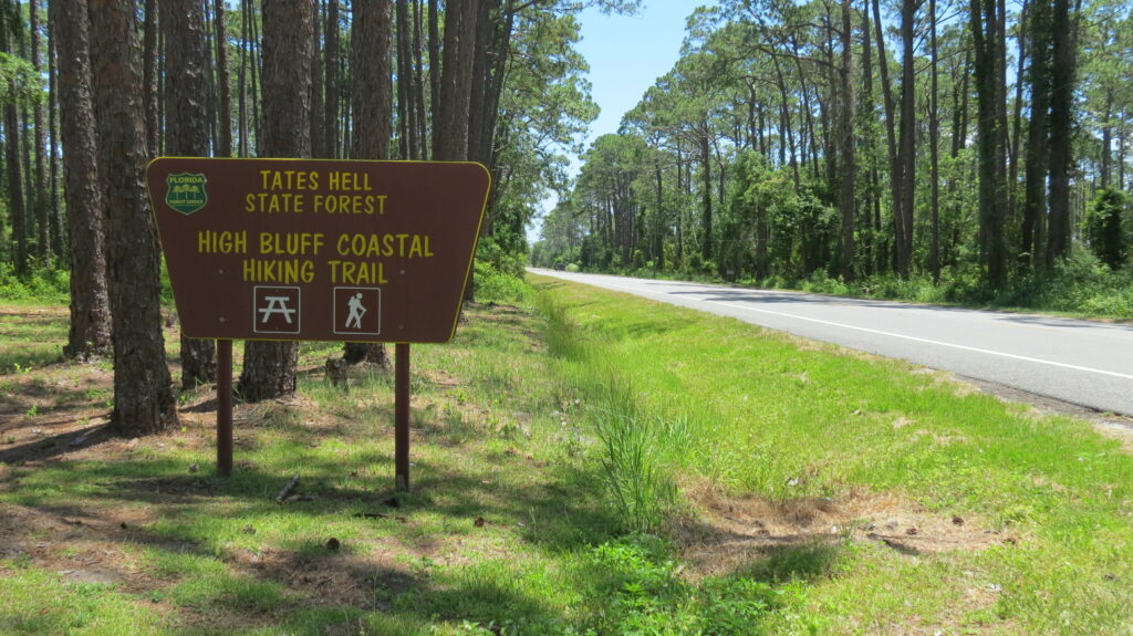 The Forgotten Coast offers multiple chances to get out and enjoy the natural beauty of the area. 