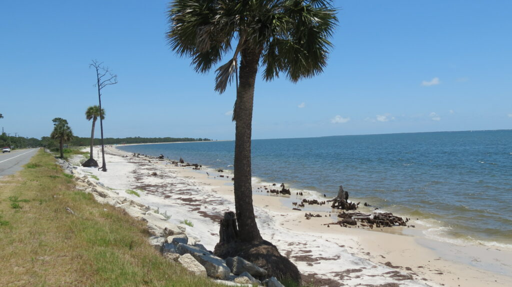 Much of US-98 along the Forgotten Coast offers views just like this. 