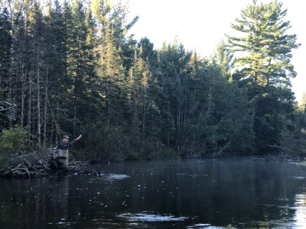 Fly Fishing in Michigan