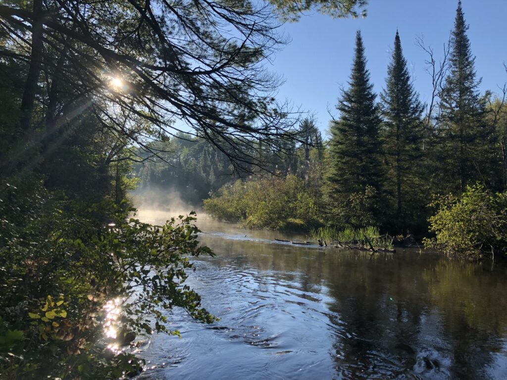 Gaylord Area Trout Stream